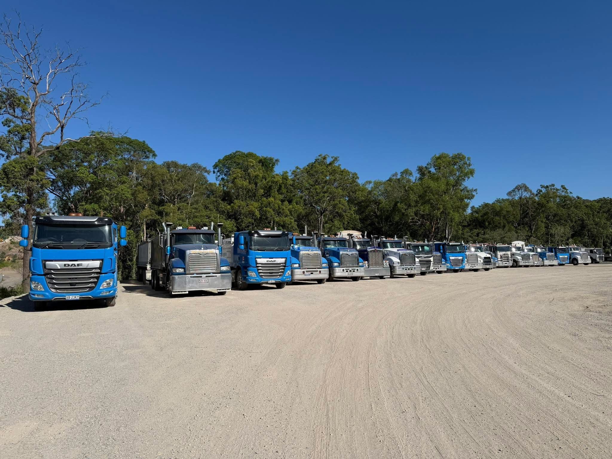 Fleet lineup with DAF leading — scaling from one truck to three