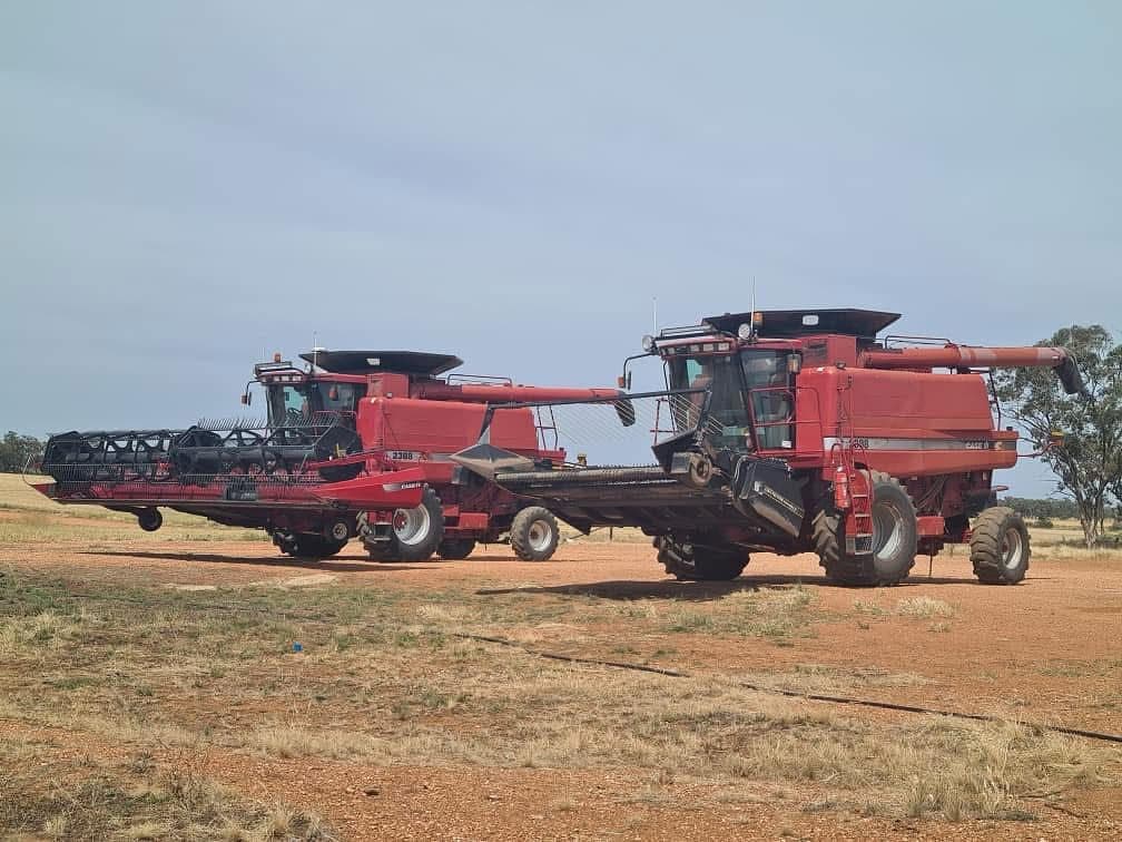 Case IH combine pair
